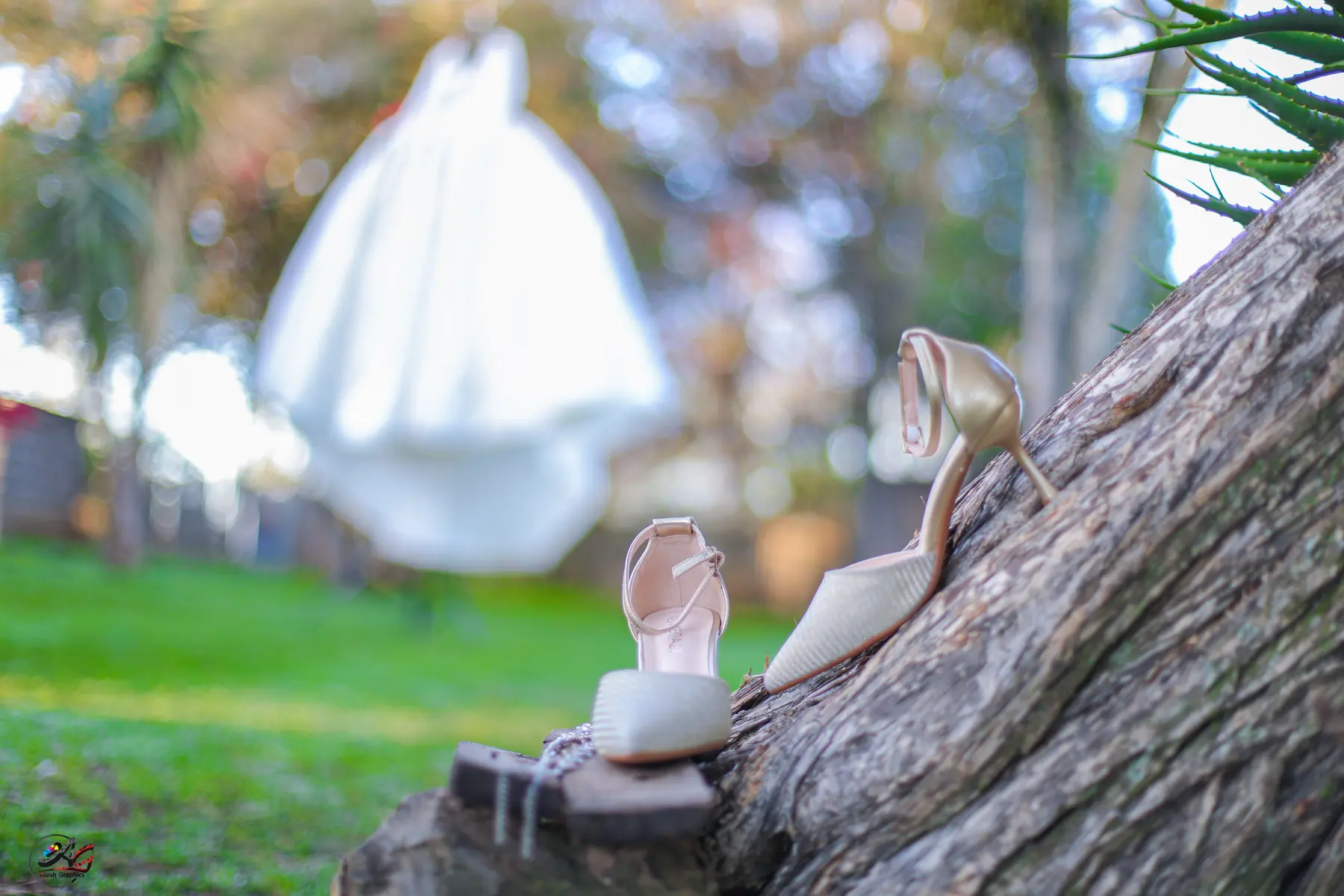 Wedding preparation details